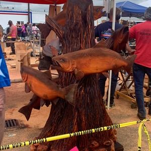 Meet your Posher, Freddy